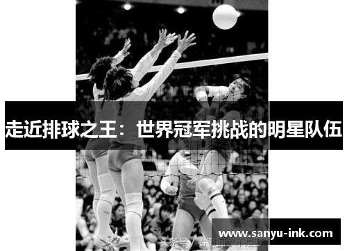 走近排球之王：世界冠军挑战的明星队伍